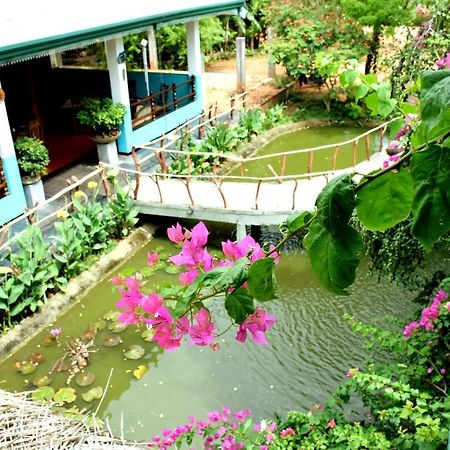 Hungry Lion Resort Сигирия Экстерьер фото