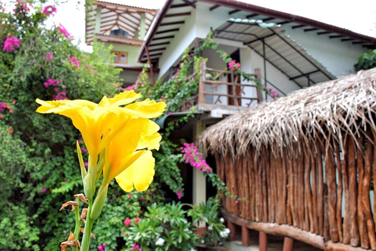 Hungry Lion Resort Сигирия Экстерьер фото