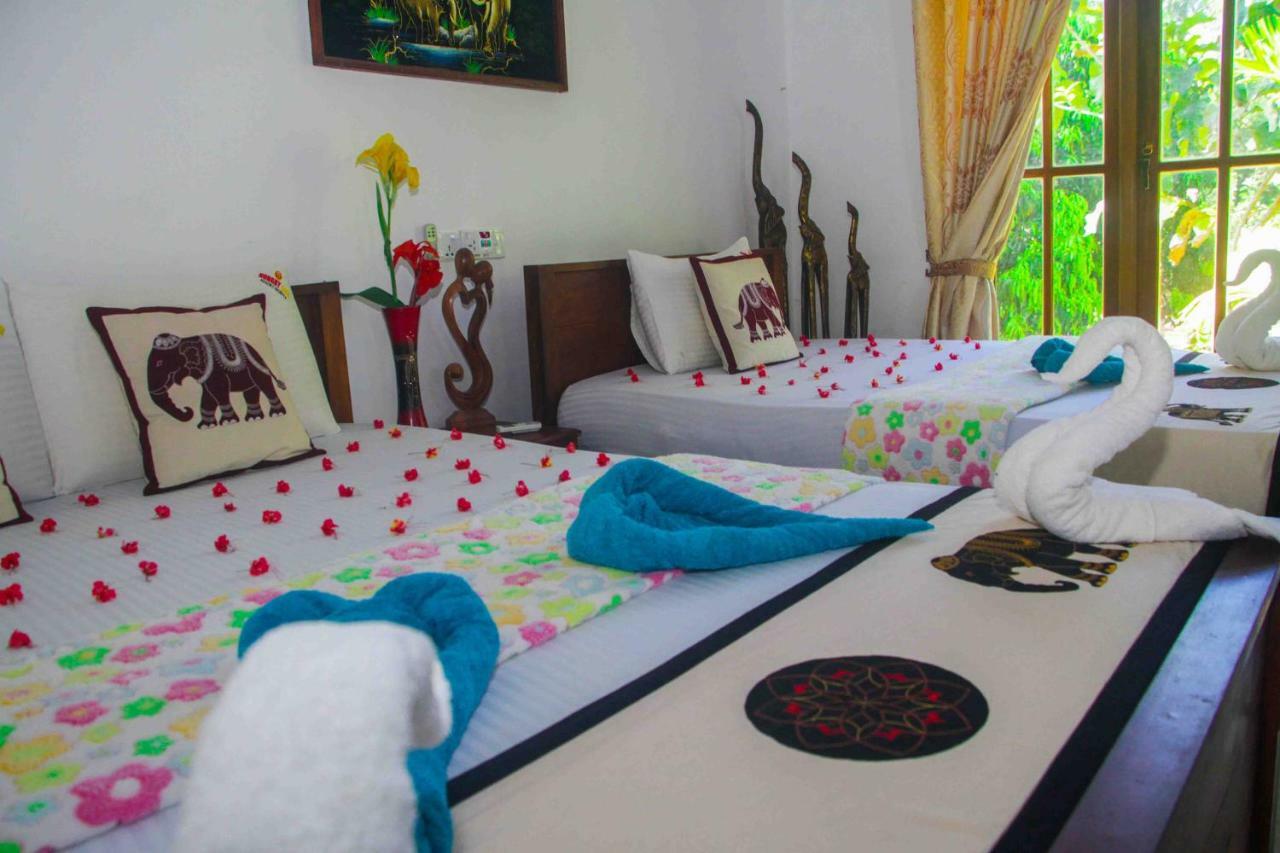 Hungry Lion Resort Сигирия Экстерьер фото